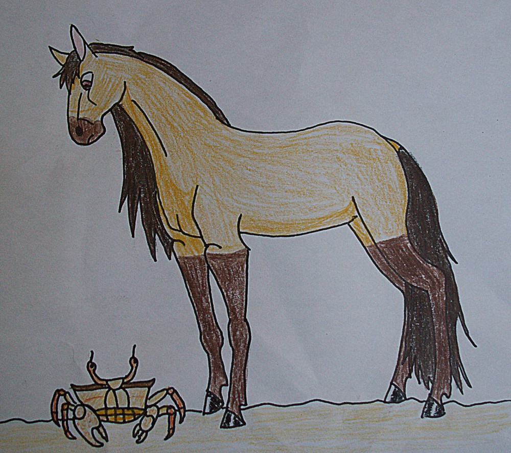 Spirit stallion