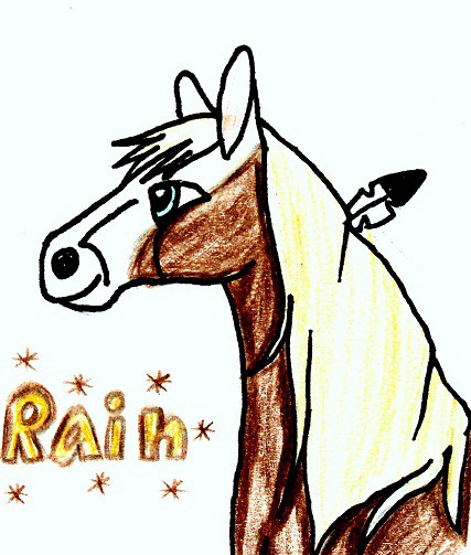Rain
