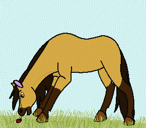 Spirit with a Ladybird