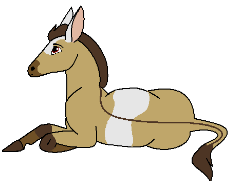 Mule contest adoption!