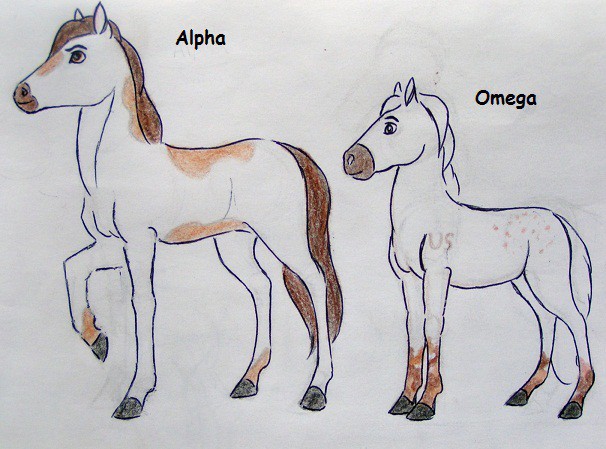  Alpha and Omega