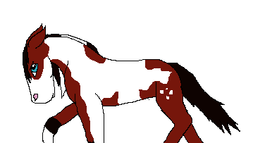 Comanche- DLW Trade part 2