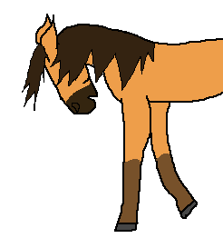 Spirit