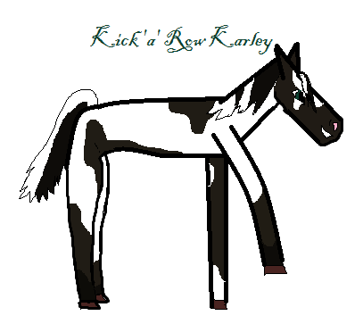 Kick 'a' Row Karley- Gift for Esca