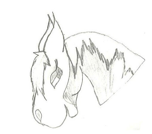 Rain Doodle