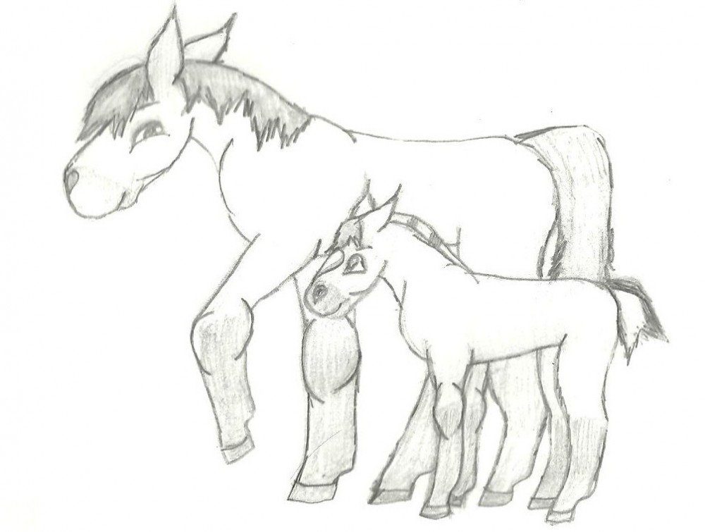 Spirit and Colly