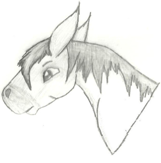 Spirit Doodle