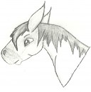 Spirit Doodle