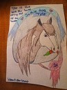 Sophiedog gift 
