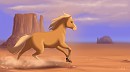 Wild Spirit