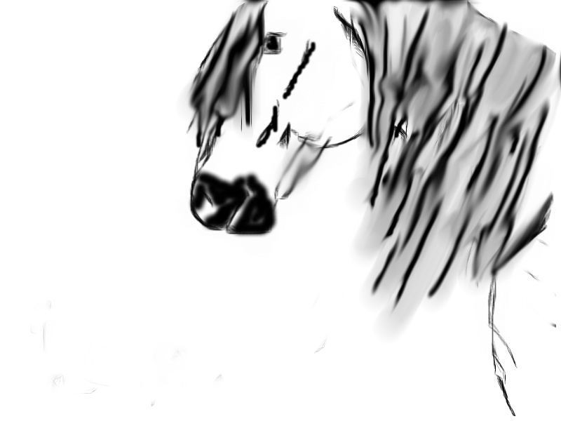 Ghost Horse