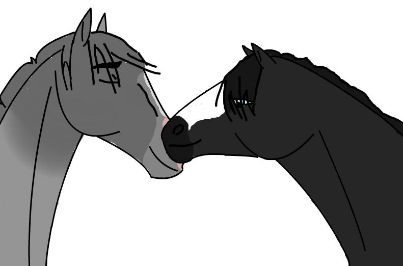 Trixon and Nayssa