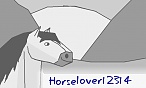 Horselover12314