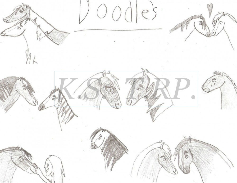 Doodles