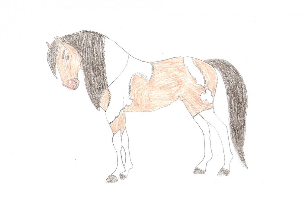 Full-body Lineart Male or Female