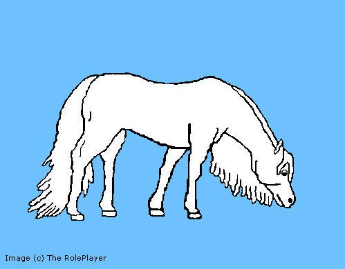 Horse lineart