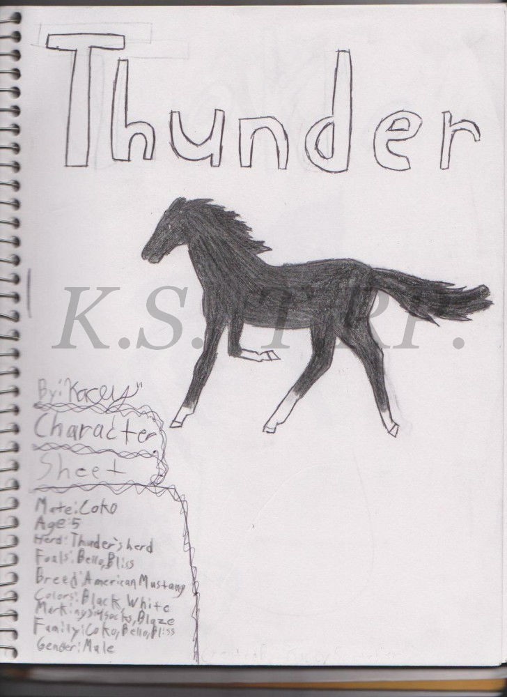 Thunder- Character Sheet