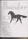Thunder- Character Sheet