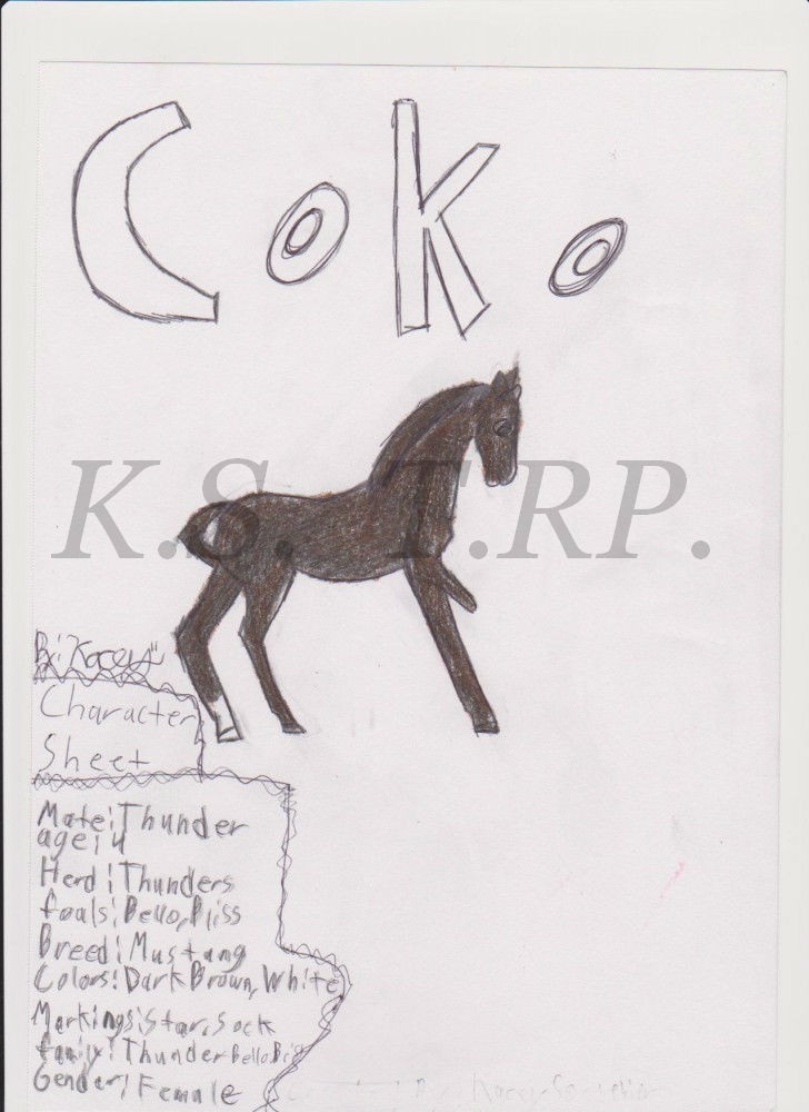 Coko Character Sheet