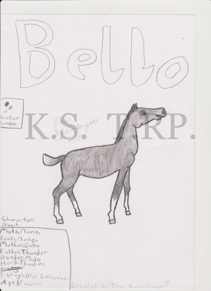 Bello Character Sheet