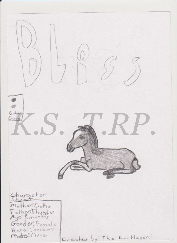 Bliss Character Sheet