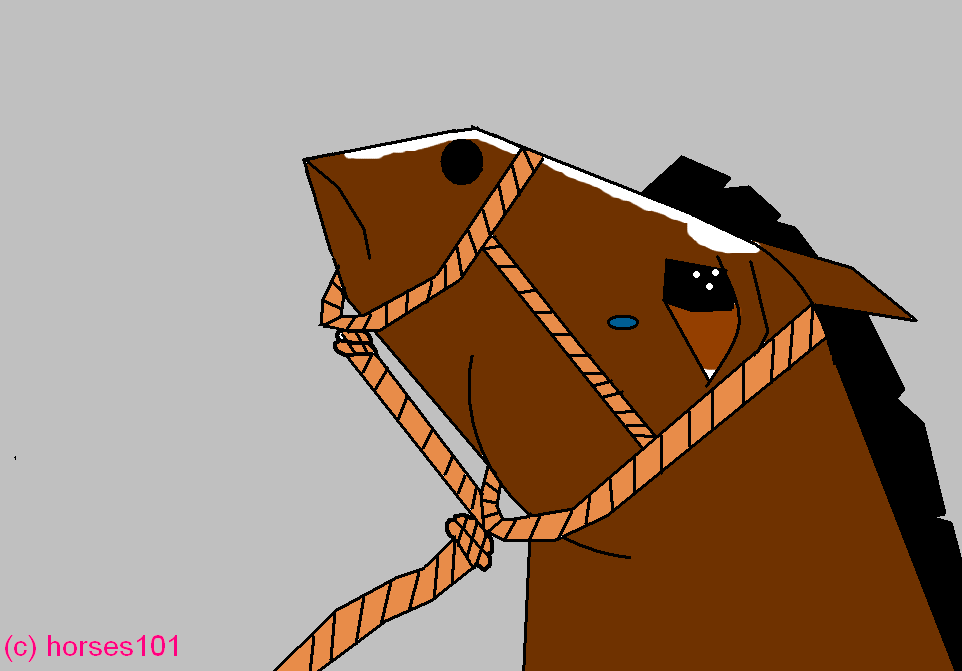 Prince-horses101 style