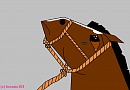 Prince-horses101 style
