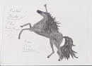 Eve, Dark Unicorn