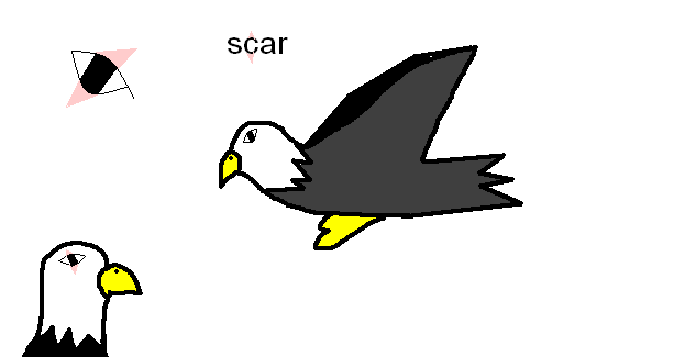 scar
