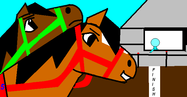the race