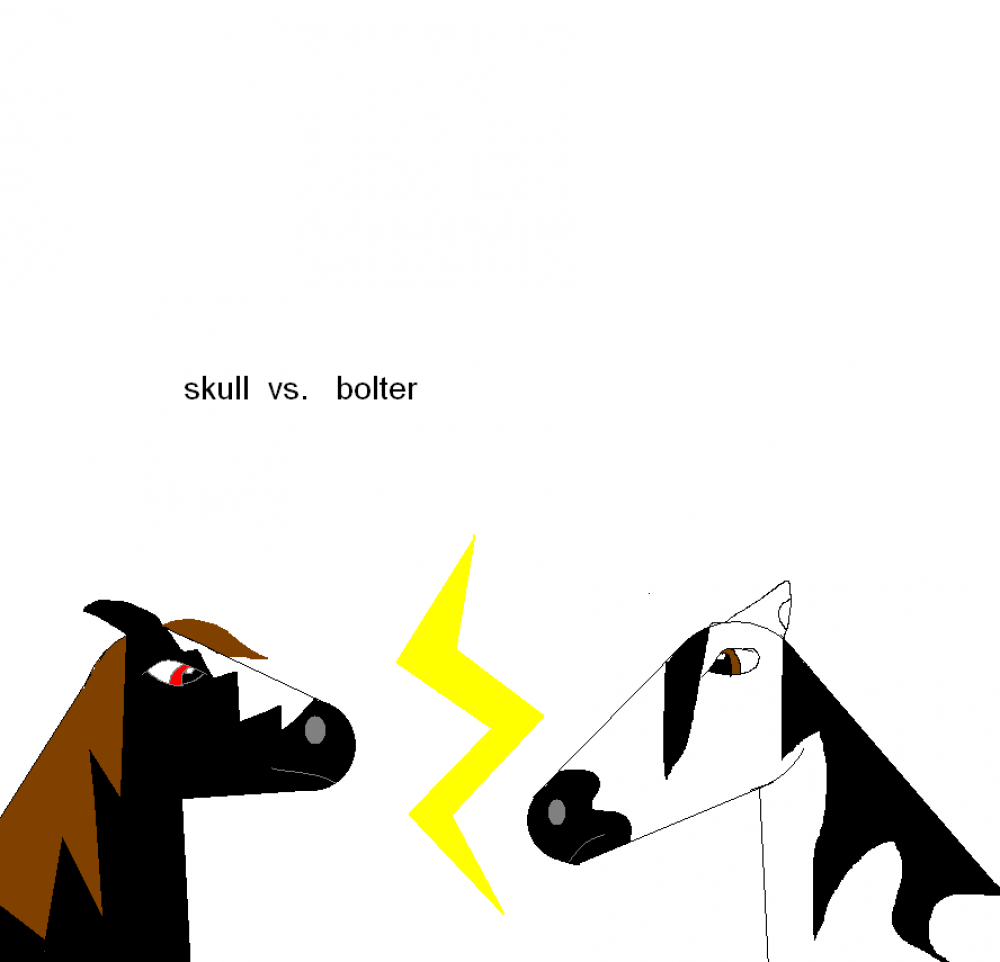 bolter vs. skull