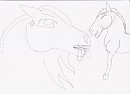 Annoyed horse sketch