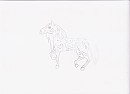 Paint/Pinto horse