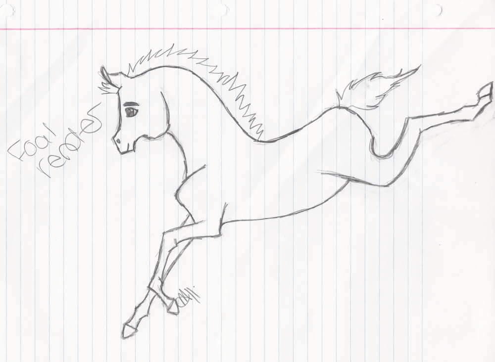 Foal Render thingy :/