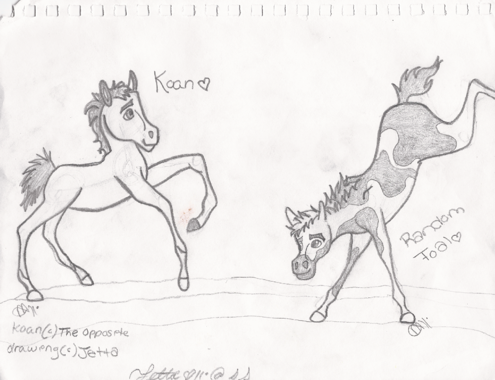 Art Trade~Theopposite~Koan and Random Foal