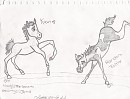 Art Trade~Theopposite~Koan and Random Foal