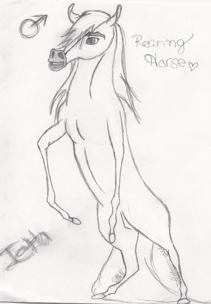 Rearoing stallion O.o