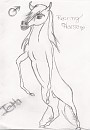 Rearoing stallion O.o