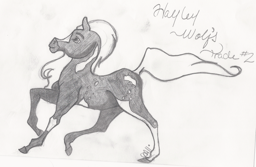 HayleyWolf Tared #2~Chpoice of horse~Hysteria