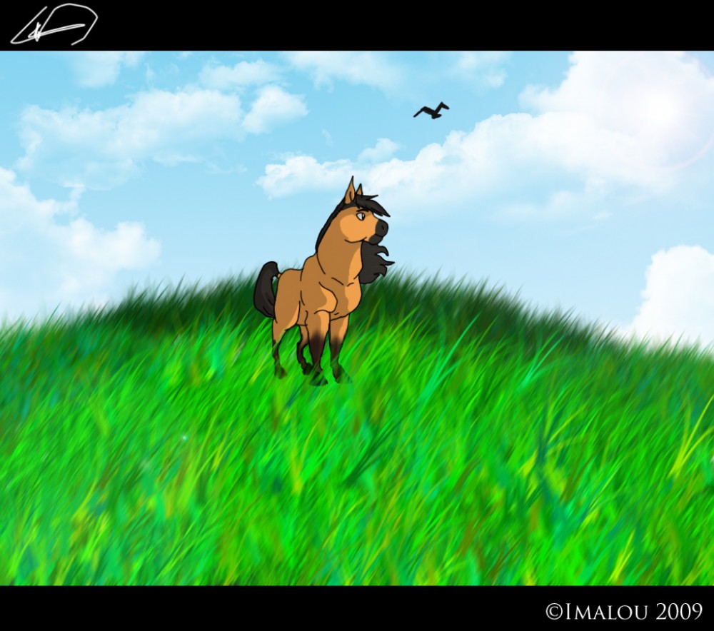Into the wind