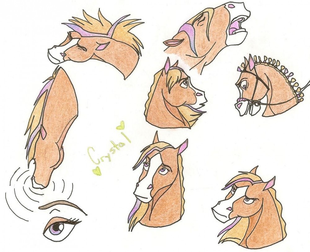 Crystal Expression Sheet