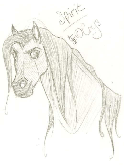 Spirit headshot