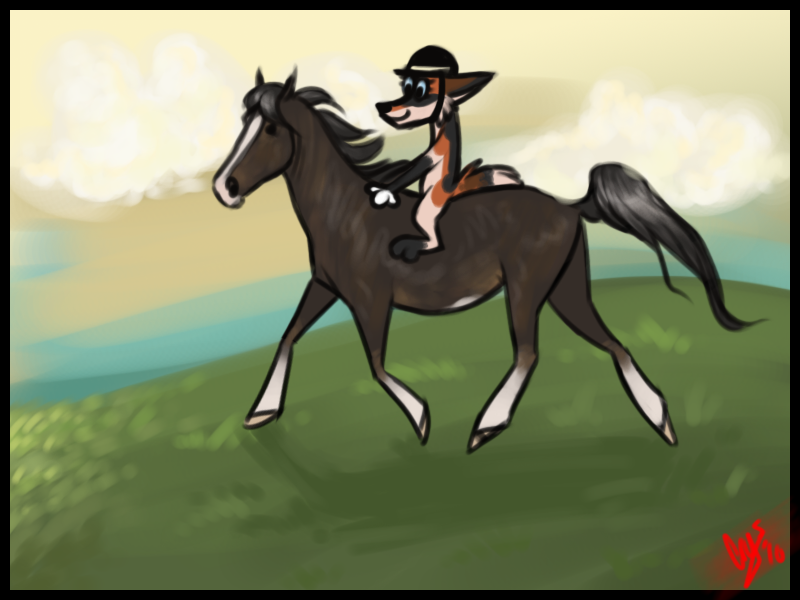 crystal riding mirage teehee