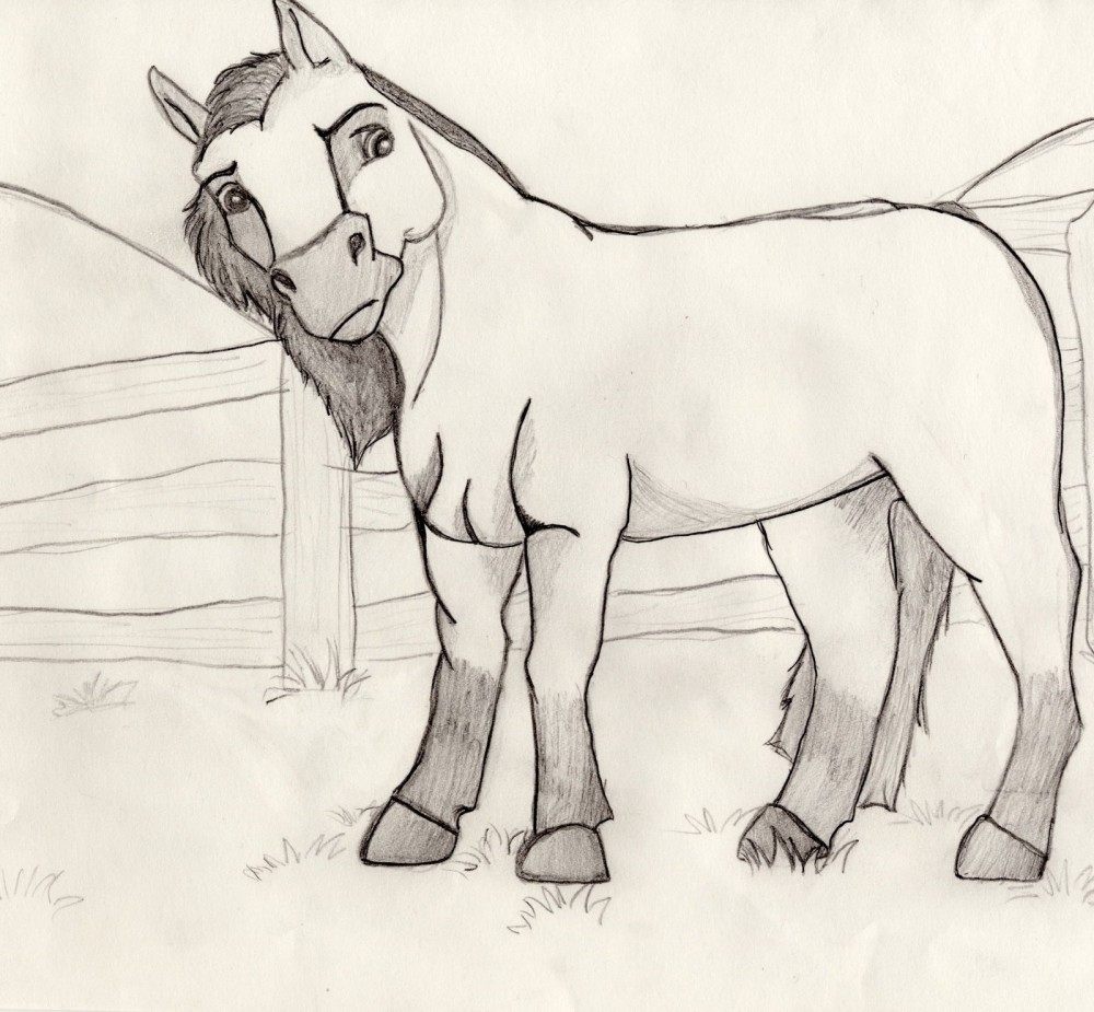Curious Colt
