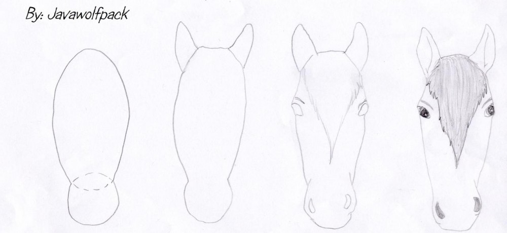 How to draw a horse head