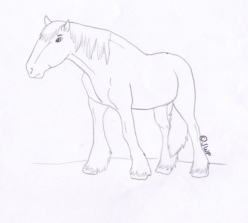 Free Clydesdale Coloring page