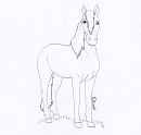Free Mustang Coloring Page