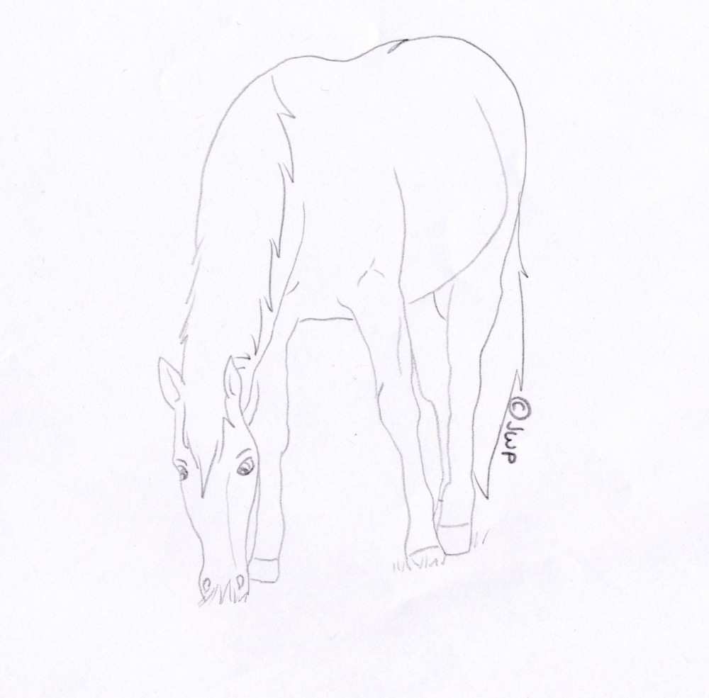 Free Mustang Coloring Page2