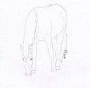 Free Mustang Coloring Page2
