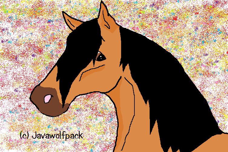 Beautiful Kiger Mustang